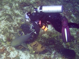 Diver with Nurse Shark IMG 9294